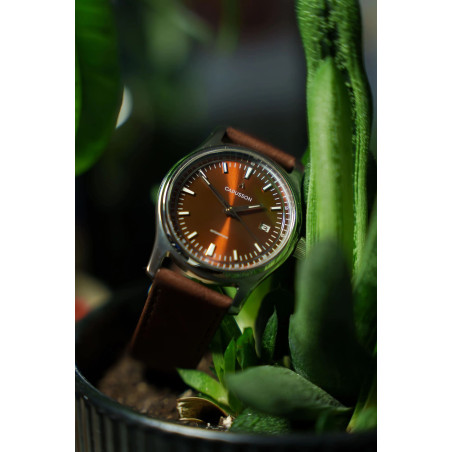 Dress watch classique chic avec boîtier poli.